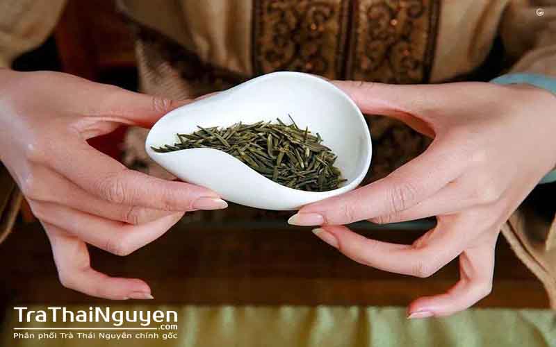 Mua Trà Bắc Ngon ở đâu