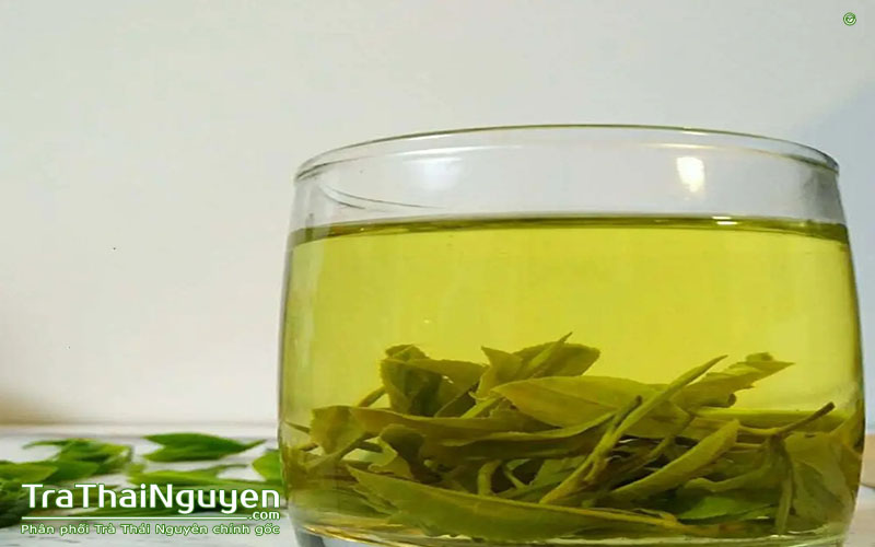 Mua Trà Thái Nguyên ở đâu uy tín