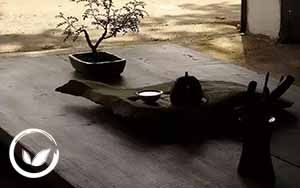 Trà Thái Nguyên Bình Dương