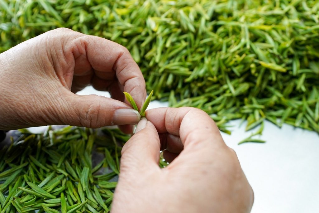 Trà Thái Nguyên tại Biên Hòa