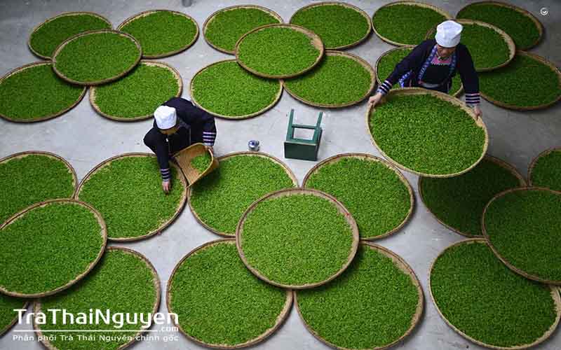 Trà (chè ) Thái Nguyên giá gốc